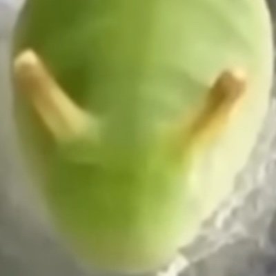 frog_bogo's profile picture. 
