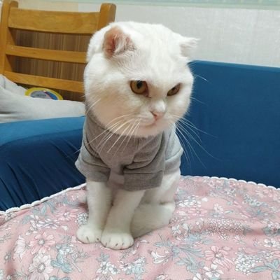 qbSOHXvyYWBxC7v's profile picture. I, who is proud of tomorrow and lives hard every day, do my best to live a precious day