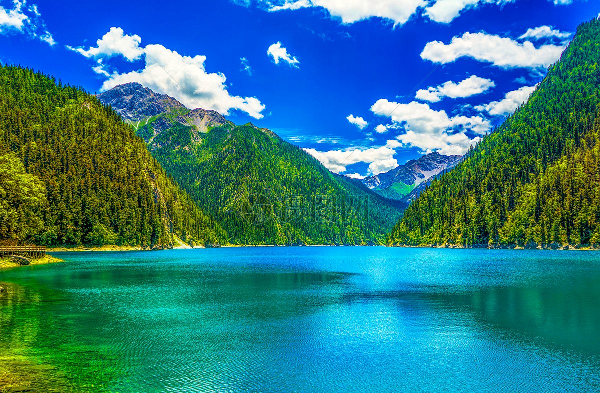 Douglas70895507's profile picture. 