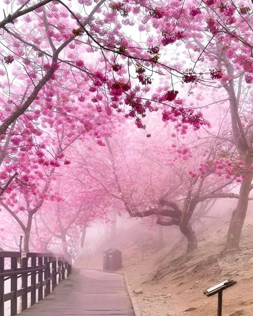 Fredax12's profile picture. 