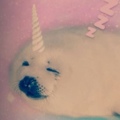 black - 17 - { formerly @/junajarrito relaxing on the priv a bit