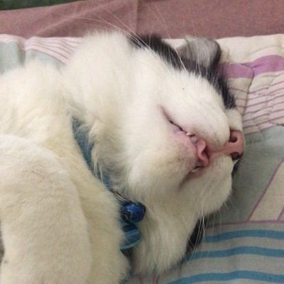 mandududuu's profile picture. 