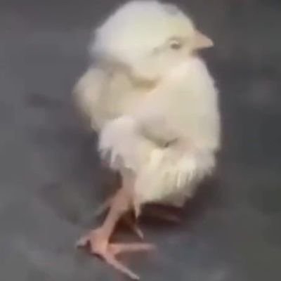 txteeeeek's profile picture. 