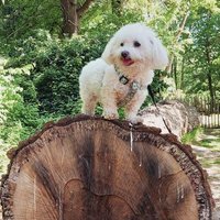 PiOtR (@piotr5728) 's Twitter Profile