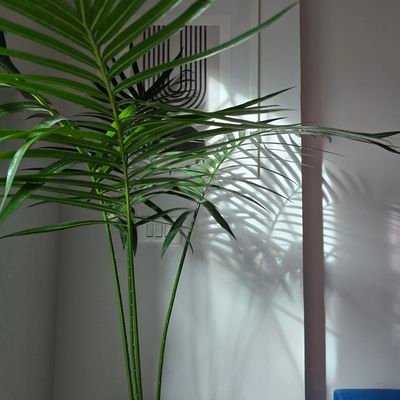 sayitoutloud999's profile picture. 