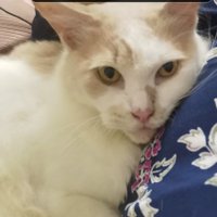 iyrah π (@iyrah89) 's Twitter Profile
