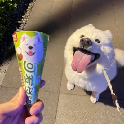 wngln6370577948's profile picture. 