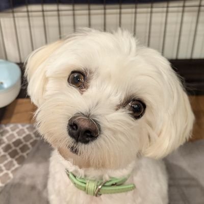 てんてー。
カラオケとスマブラ(チーム)が好き。
趣味合いそうな人無言フォロー失礼します!
いろいろなことを残していきたい自己満アカウント。
