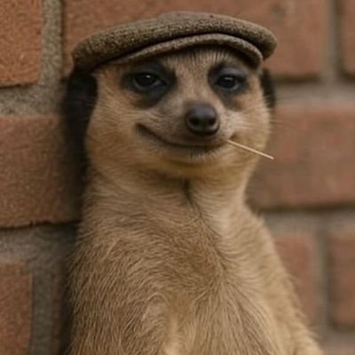 loft097's profile picture. man u &simba sc fan
just living