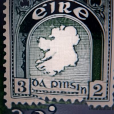 Emerging political party |
Protect and preserve Irish people’s Constitutional Rights