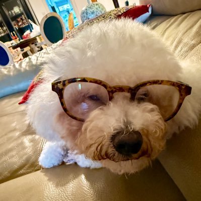 am_joao15769's profile picture. 