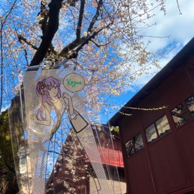 モリマさんのプロフィール画像