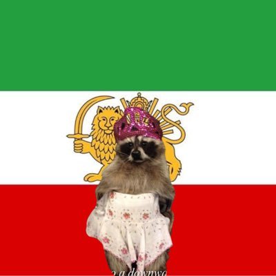 AylaJ97's profile picture. Neurologist M.D.👩🏻‍⚕️ Mom of a german shepherd ( My Lila 🐕) love music 🎶💓