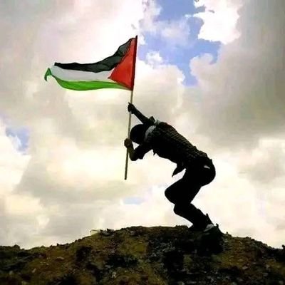 mmd1224035's profile picture. Raising funds to support my family in these extremely difficult circumstances. Anyone who wants to contribute or donate for the children, adanah 👇the link is