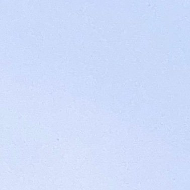 TNguyn71857612's profile picture. 