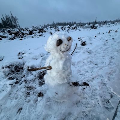 puskwallee's profile picture. 