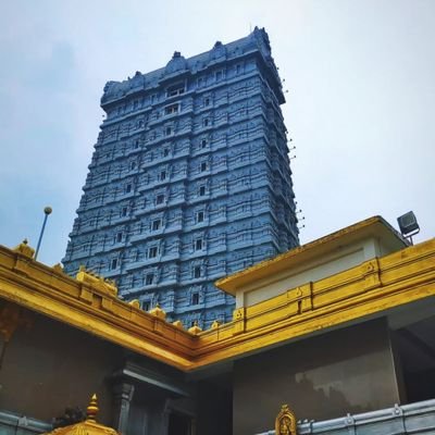 SinghS7202024's profile picture. Life is short