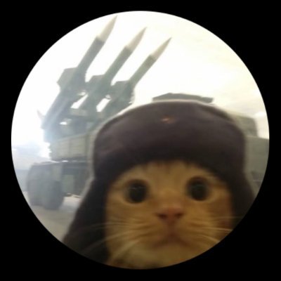 WelatPar3z's profile picture. noob bug hunter 👍🏻