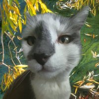 emma (@snowflurried) Twitter profile photo