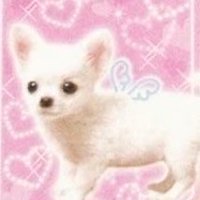 여뚜^^ (@l0v3d6y) 's Twitter Profile