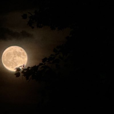 sray_sn Profile Picture