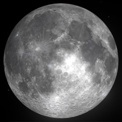 magdynour322's profile picture. 