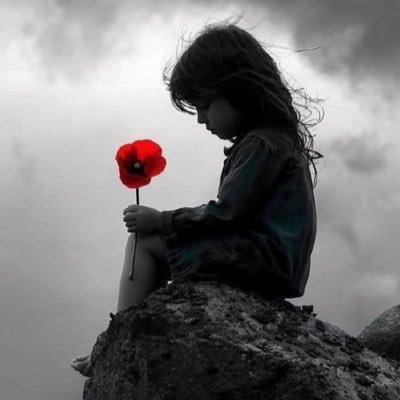 MTulha24151's profile picture. آزاد