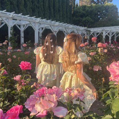 ro7x1l's profile picture. 