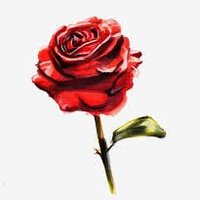 Hey, beautiful! ☺️ (@hello_bful) 's Twitter Profile
