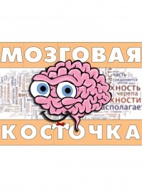 brain_bone's profile picture. Увидел что я подписался на тебя - подпишись на меня! А я обеспечу лучший юмор каждый день!