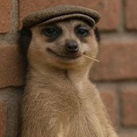Monkey π Parlay (@monkeyparlay) 's Twitter Profile