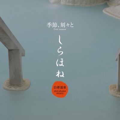 Shirahone88's profile picture. 日本で旅行と温泉を楽しむのが大好きです