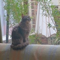 Gallero George (@quikeelgallero) 's Twitter Profile Photo Gallero George (@quikeelgallero) 's Twitter Profile Photo