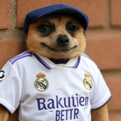 Justinprofit2's profile picture. 30BG/Real Madrid 🇧🇪