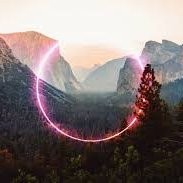 industryinsigh's profile picture. 