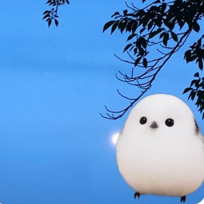 shionn_88's profile picture. こころの小さな波を言葉にして並べています🌊 ✍️ 毎日をちょっとだけ整えるブログ📖「 心地よさの見つけ方」を綴っています🌿 👉 https://t.co/hhOS7ZvWe5