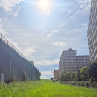 のびのび (@gawmuu1) 's Twitter Profile