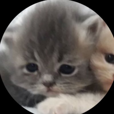 depressed tweets usually
44,63,12 | ict ,mi , ferrari | louis tomlinson 24/7