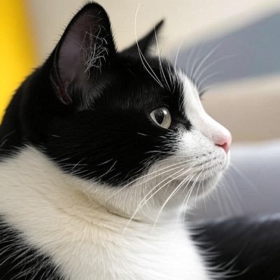 2016年のブレアリでの初観戦から『宇都宮ブレックス』のファン。猫も好きです。ポストを通して、ブレックスファンが1人でも多く増えることを願っています。