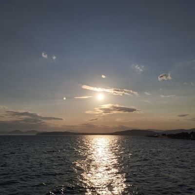 Xelsearさんのプロフィール画像