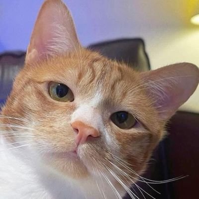 Sananruushan's profile picture. At the end we all get what we deserve