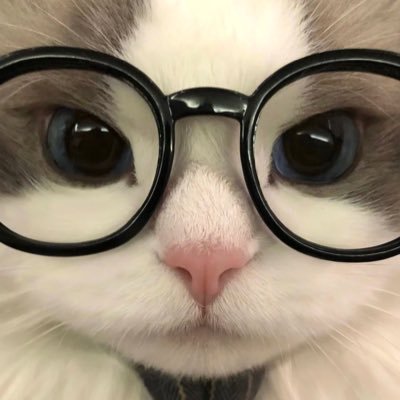 nicegirl1258152's profile picture. 