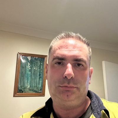 DanMarkovic1981's profile picture. 