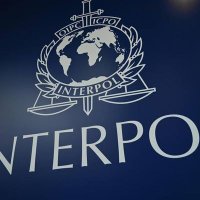 cyber interpol (@hackerv78735) 's Twitter Profile