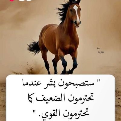 عامل الناس كما تحب أن يعاملوك
رجاء
رج المخ جيداا قبل الكلام
اذا لم تستطيع أن تقول كلام نافع
الصمت يكون فضيله
افعل ما شئت سترحل كما جئت
