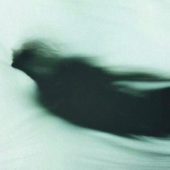 kaisyrena's profile picture. swag so elusive call me swagsquatch