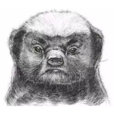 hhdhdhhdll's profile picture. 