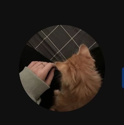 marcinpl11's profile picture. 