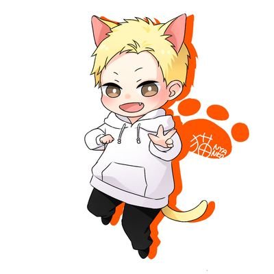 猫🍰☪︎さんのプロフィール画像