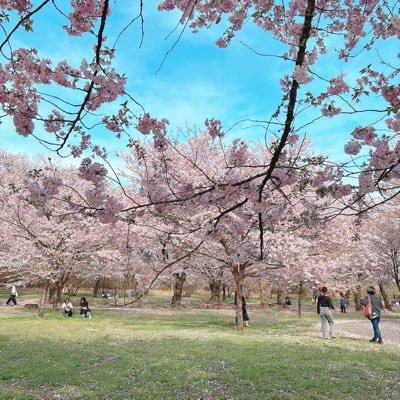 panyasan_1211's profile picture. 